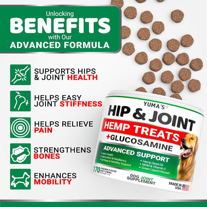 Dog Allergy Relief Chews - 240 Immune Treats, Dog Itching Skin Relief Pills