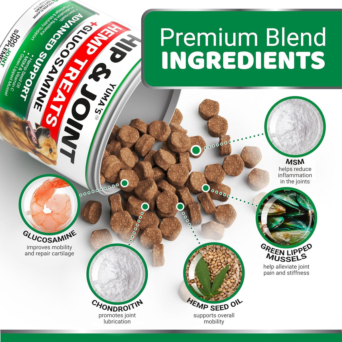 Dog Allergy Relief Chews - 240 Immune Treats, Dog Itching Skin Relief Pills