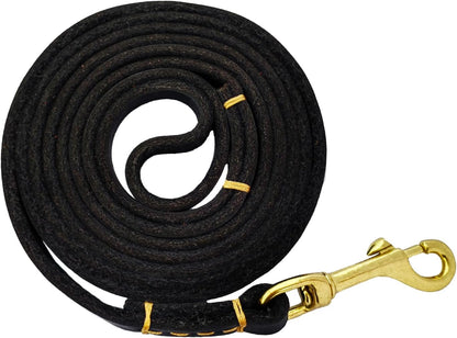 Leather Dog Leash for Small Dogs 6ft,Thin Leather Braied Dog Leash, Soft Genuine Leather Dog Training Leash for Small & Medium Dogs （3/8" X 6', Brown）