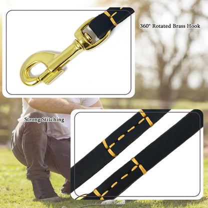 Leather Dog Leash for Small Dogs 6ft,Thin Leather Braied Dog Leash, Soft Genuine Leather Dog Training Leash for Small & Medium Dogs （3/8" X 6', Brown）