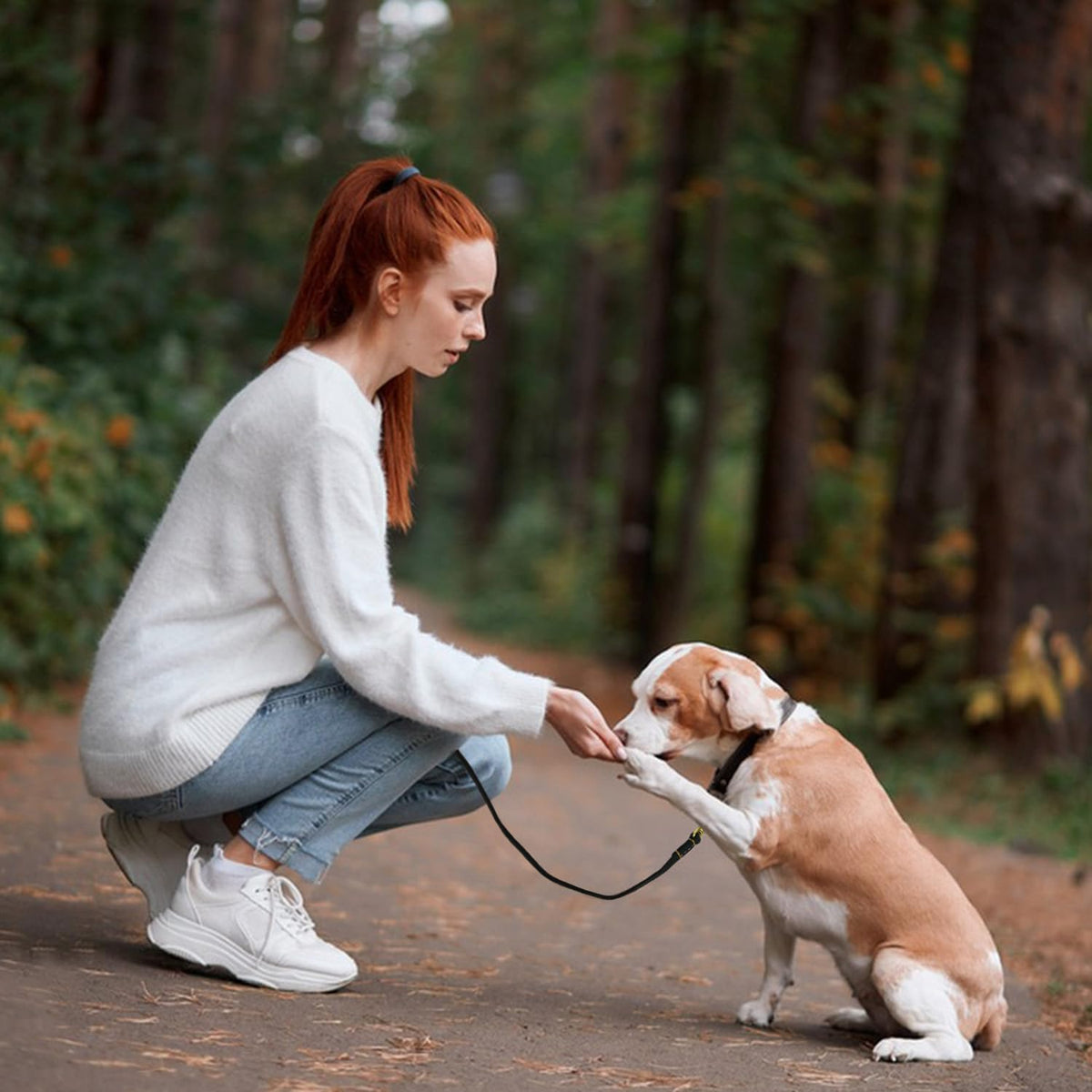 Leather Dog Leash for Small Dogs 6ft,Thin Leather Braied Dog Leash, Soft Genuine Leather Dog Training Leash for Small & Medium Dogs （3/8" X 6', Brown）