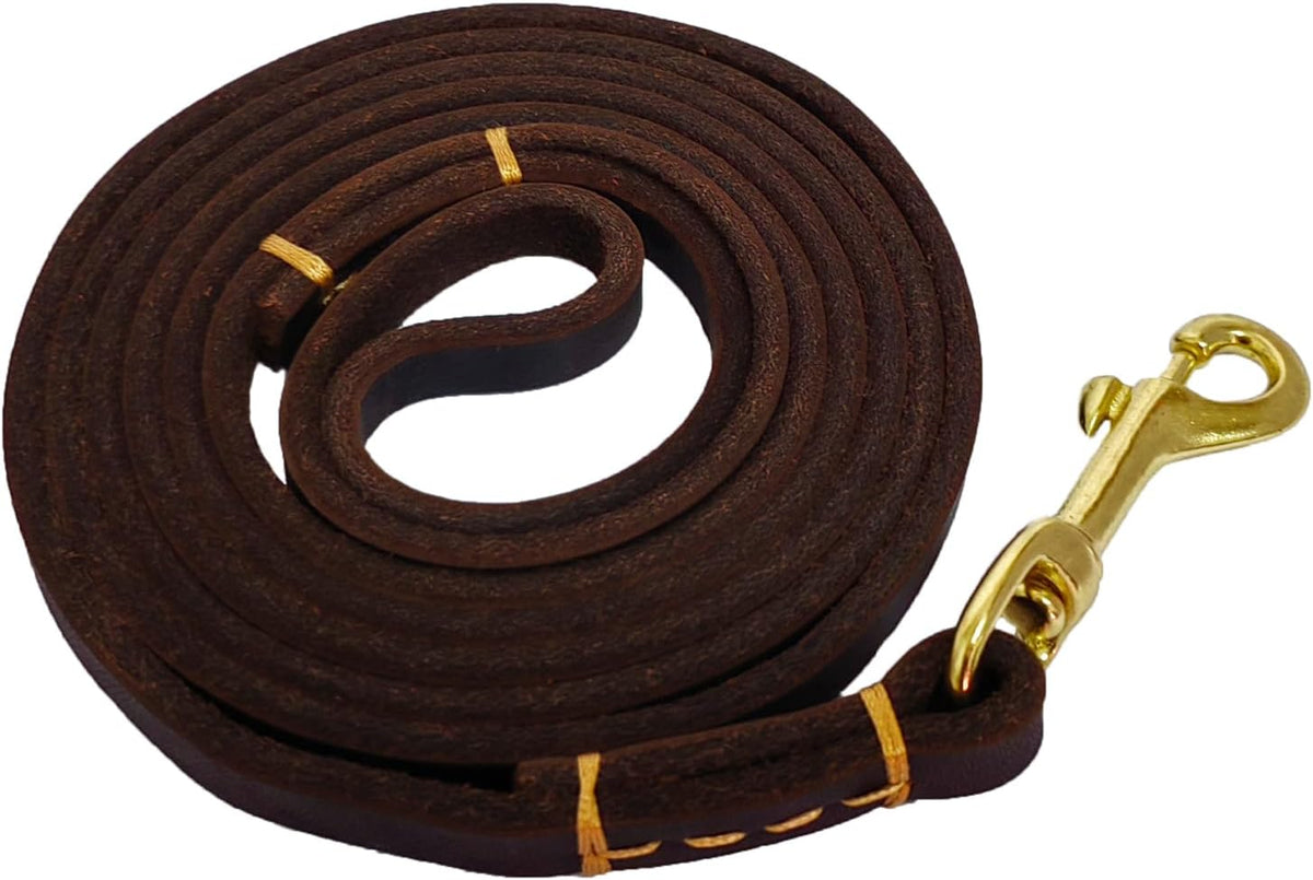 Leather Dog Leash for Small Dogs 6ft,Thin Leather Braied Dog Leash, Soft Genuine Leather Dog Training Leash for Small & Medium Dogs （3/8" X 6', Brown）