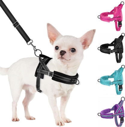 No Pull Small Dog Harness and Leash Set with Front Clip