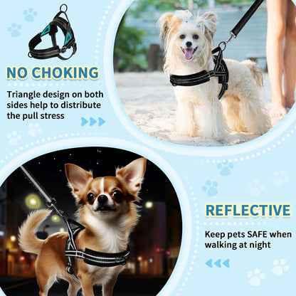 No Pull Small Dog Harness and Leash Set with Front Clip