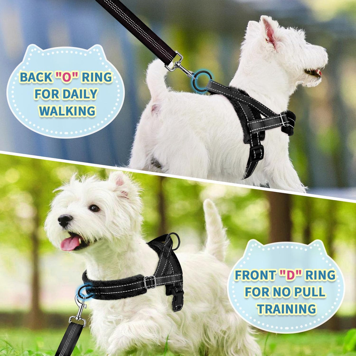 No Pull Small Dog Harness and Leash Set with Front Clip