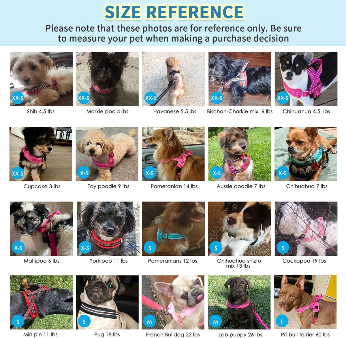 No Pull Small Dog Harness and Leash Set with Front Clip