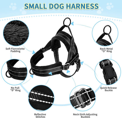 No Pull Small Dog Harness and Leash Set with Front Clip
