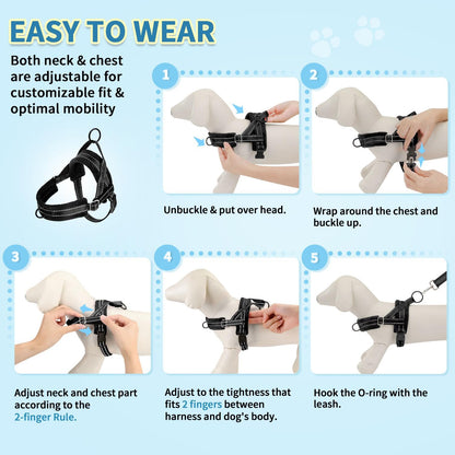 No Pull Small Dog Harness and Leash Set with Front Clip