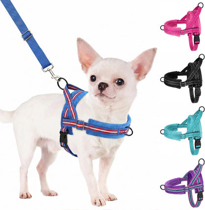 No Pull Small Dog Harness and Leash Set with Front Clip