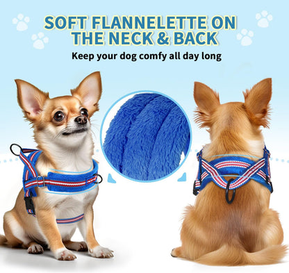 No Pull Small Dog Harness and Leash Set with Front Clip