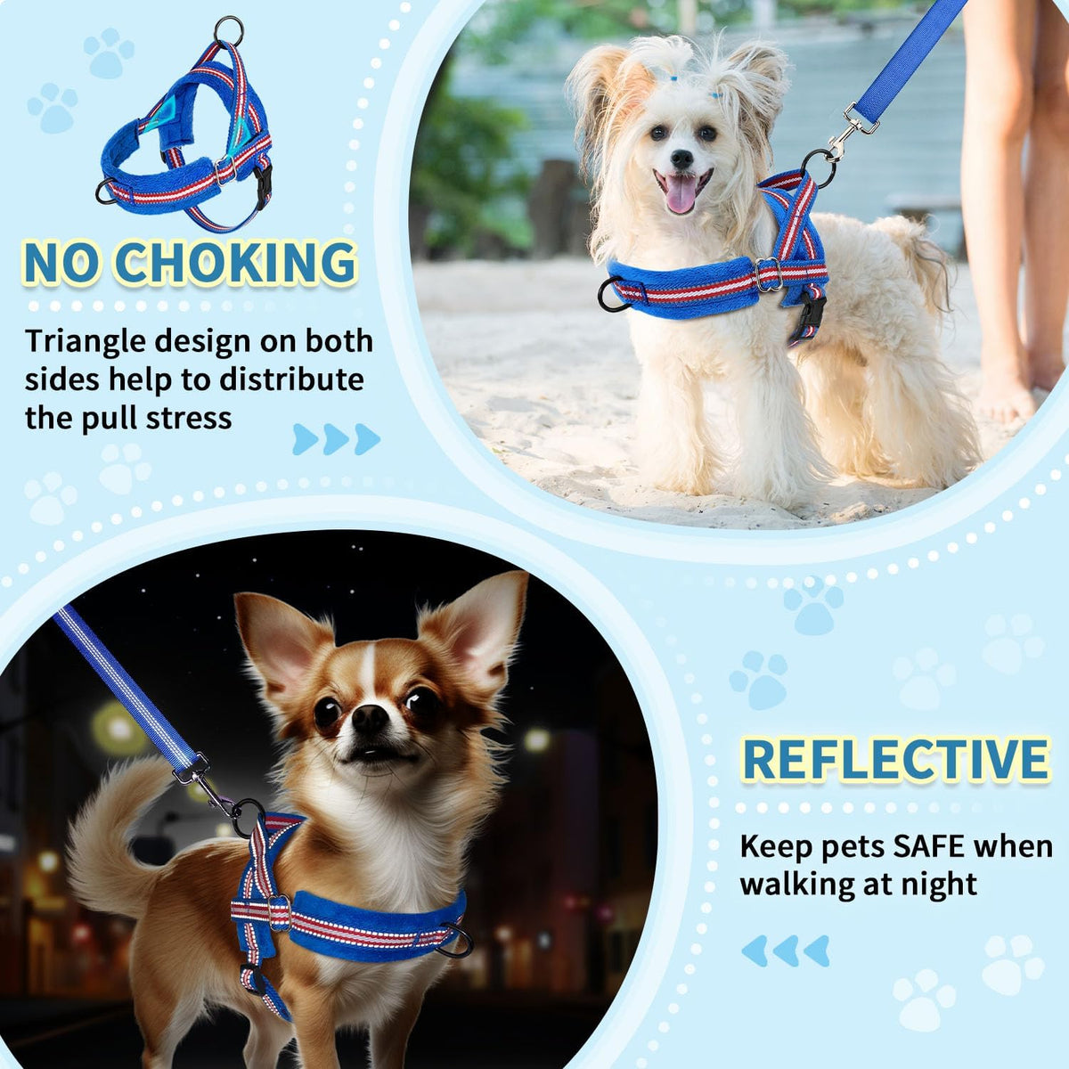 No Pull Small Dog Harness and Leash Set with Front Clip