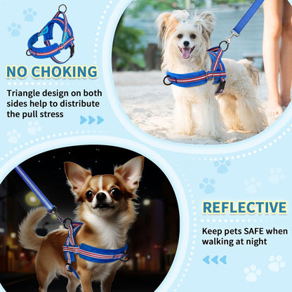 No Pull Small Dog Harness and Leash Set with Front Clip