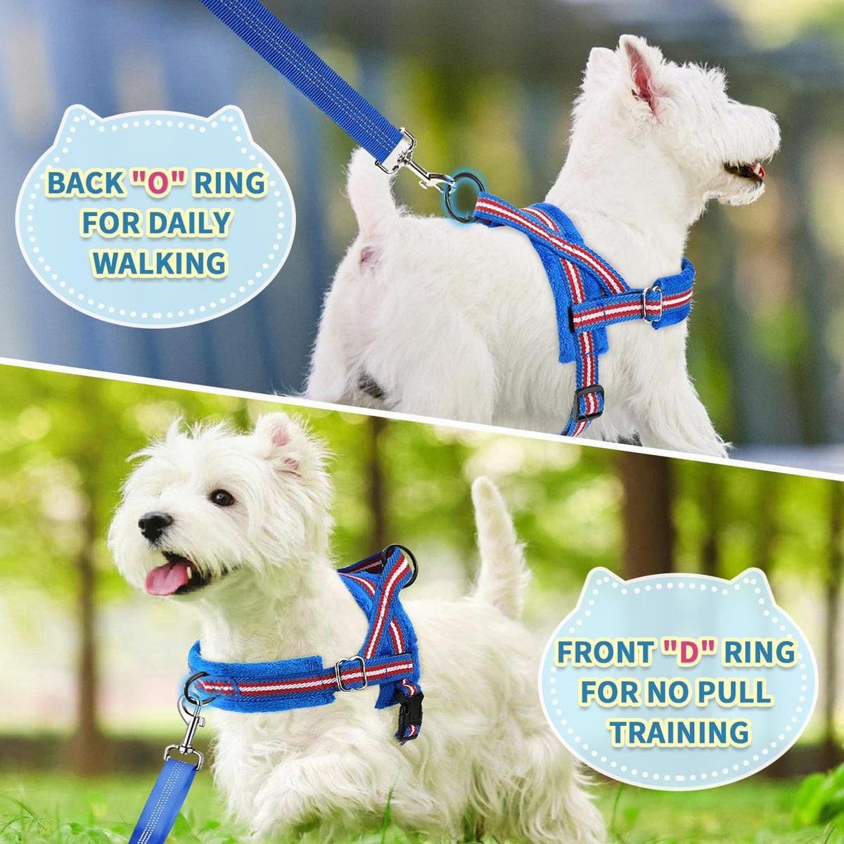 No Pull Small Dog Harness and Leash Set with Front Clip