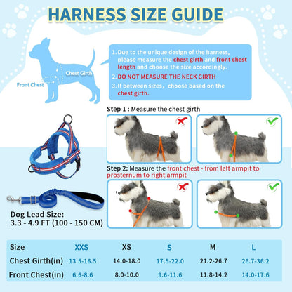 No Pull Small Dog Harness and Leash Set with Front Clip