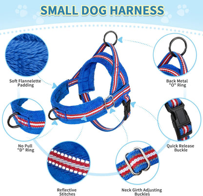 No Pull Small Dog Harness and Leash Set with Front Clip