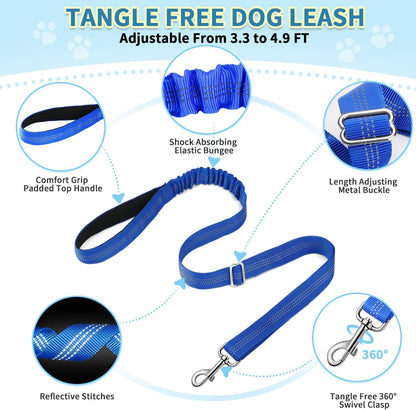 No Pull Small Dog Harness and Leash Set with Front Clip