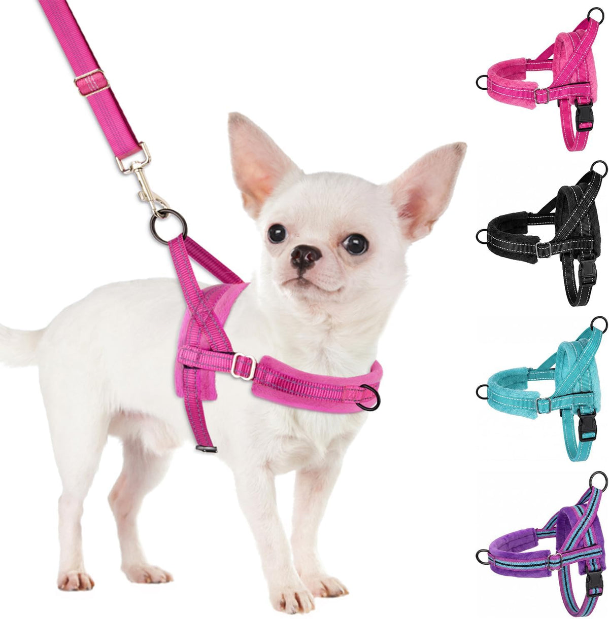 No Pull Small Dog Harness and Leash Set with Front Clip