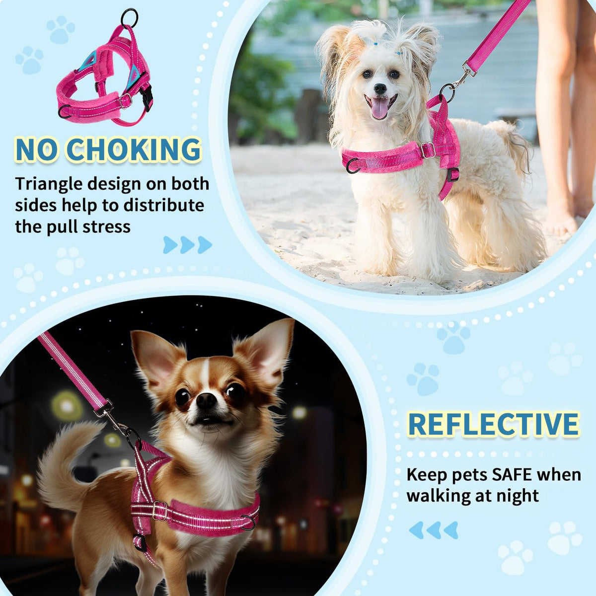No Pull Small Dog Harness and Leash Set with Front Clip