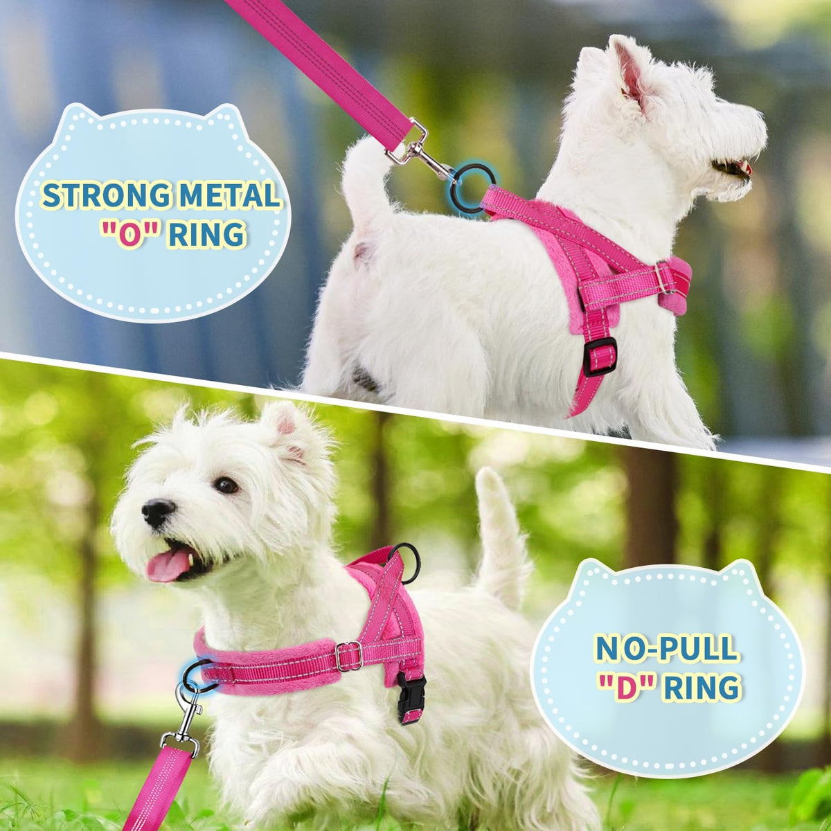No Pull Small Dog Harness and Leash Set with Front Clip