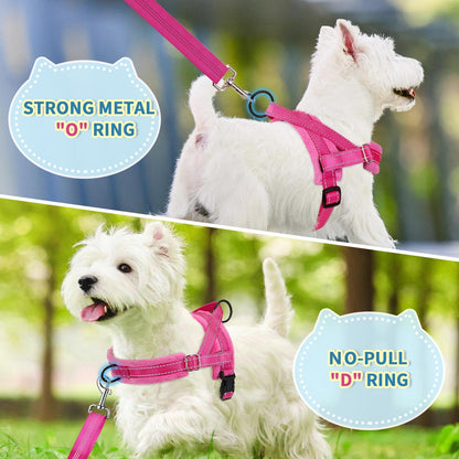No Pull Small Dog Harness and Leash Set with Front Clip