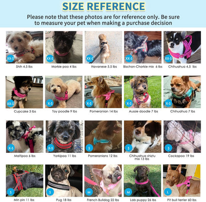 No Pull Small Dog Harness and Leash Set with Front Clip