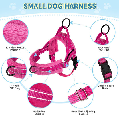 No Pull Small Dog Harness and Leash Set with Front Clip