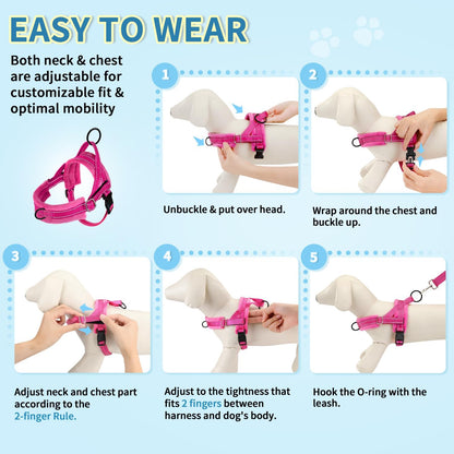 No Pull Small Dog Harness and Leash Set with Front Clip