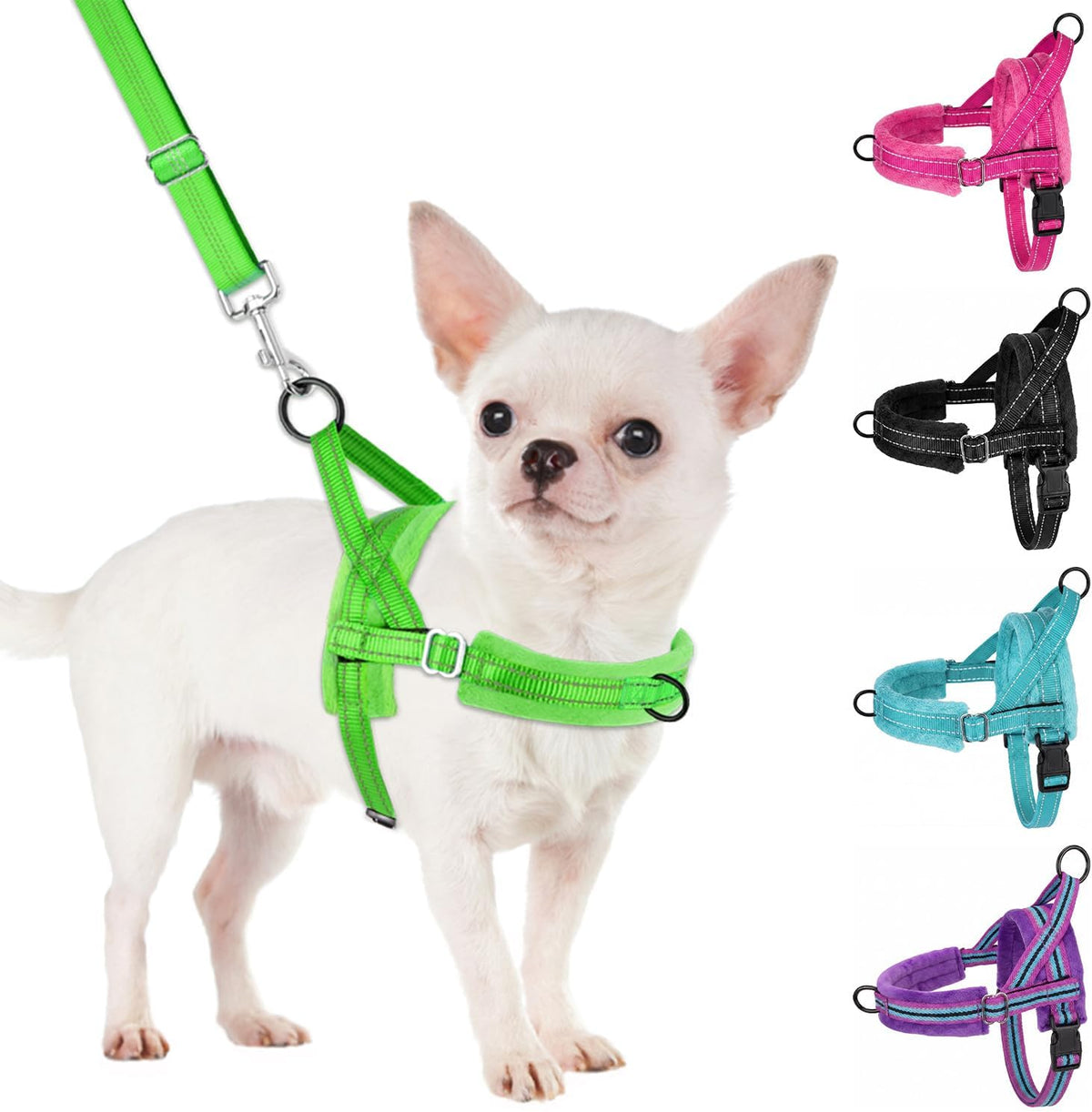 No Pull Small Dog Harness and Leash Set with Front Clip