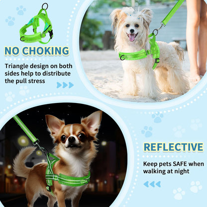 No Pull Small Dog Harness and Leash Set with Front Clip