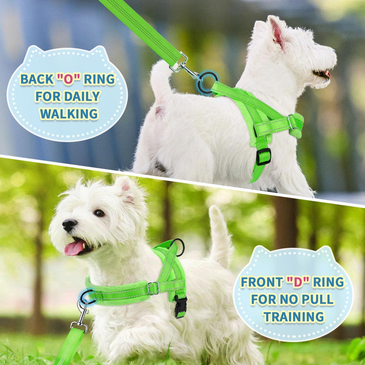 No Pull Small Dog Harness and Leash Set with Front Clip