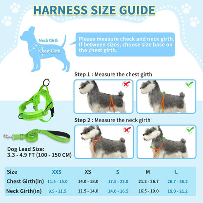 No Pull Small Dog Harness and Leash Set with Front Clip