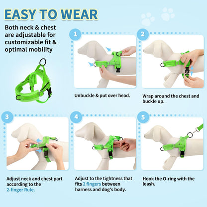 No Pull Small Dog Harness and Leash Set with Front Clip