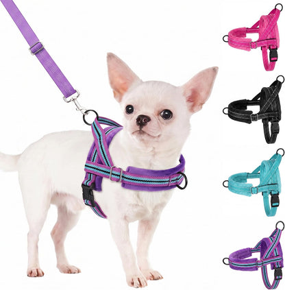 No Pull Small Dog Harness and Leash Set with Front Clip