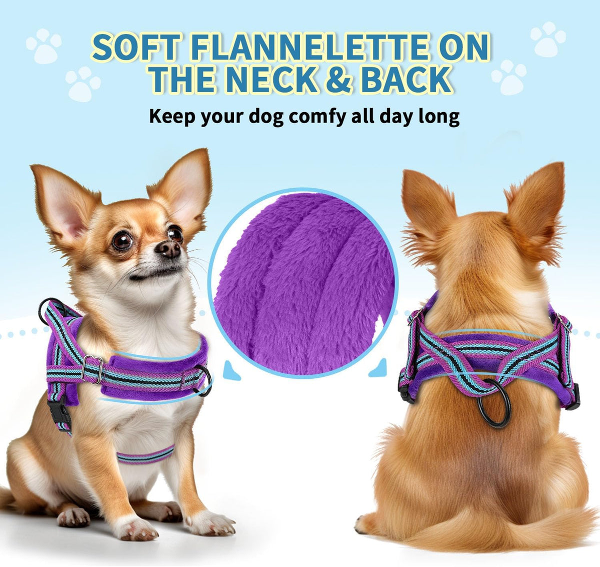 No Pull Small Dog Harness and Leash Set with Front Clip