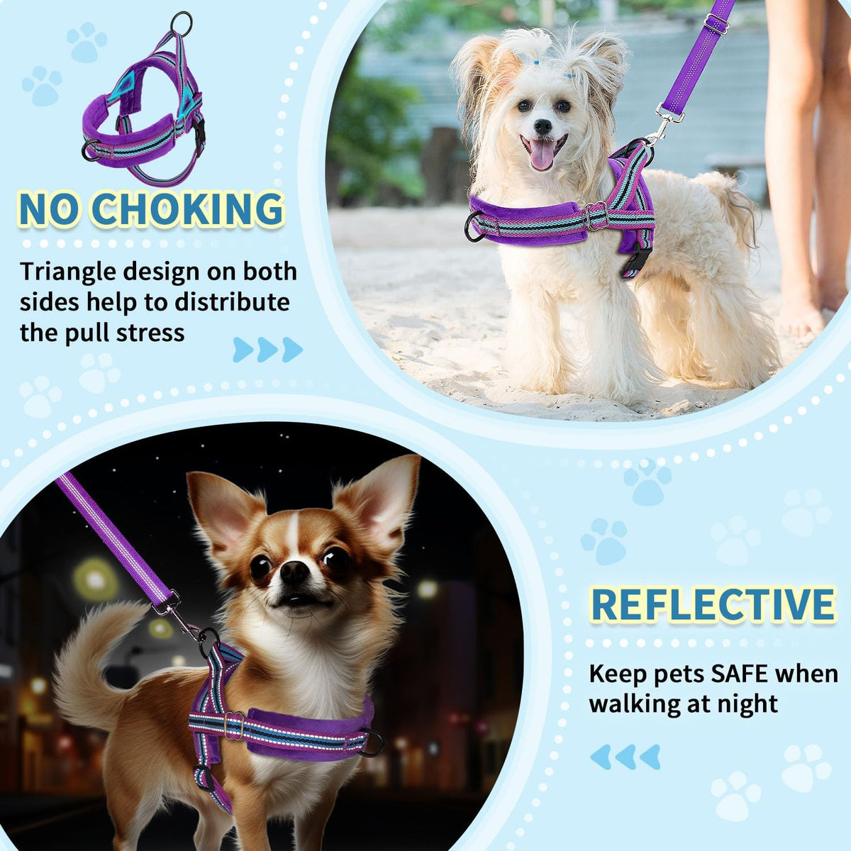 No Pull Small Dog Harness and Leash Set with Front Clip