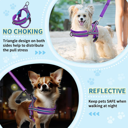 No Pull Small Dog Harness and Leash Set with Front Clip