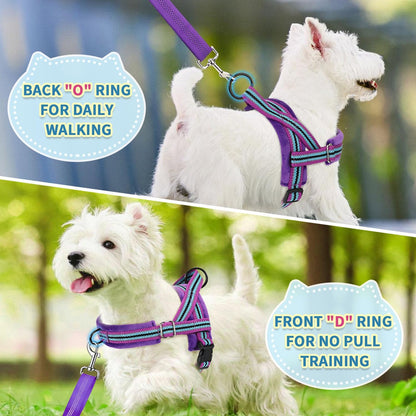 No Pull Small Dog Harness and Leash Set with Front Clip