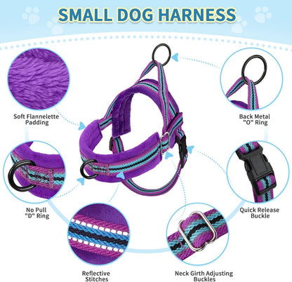 No Pull Small Dog Harness and Leash Set with Front Clip