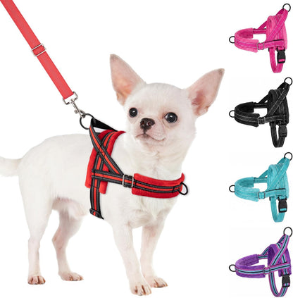 No Pull Small Dog Harness and Leash Set with Front Clip