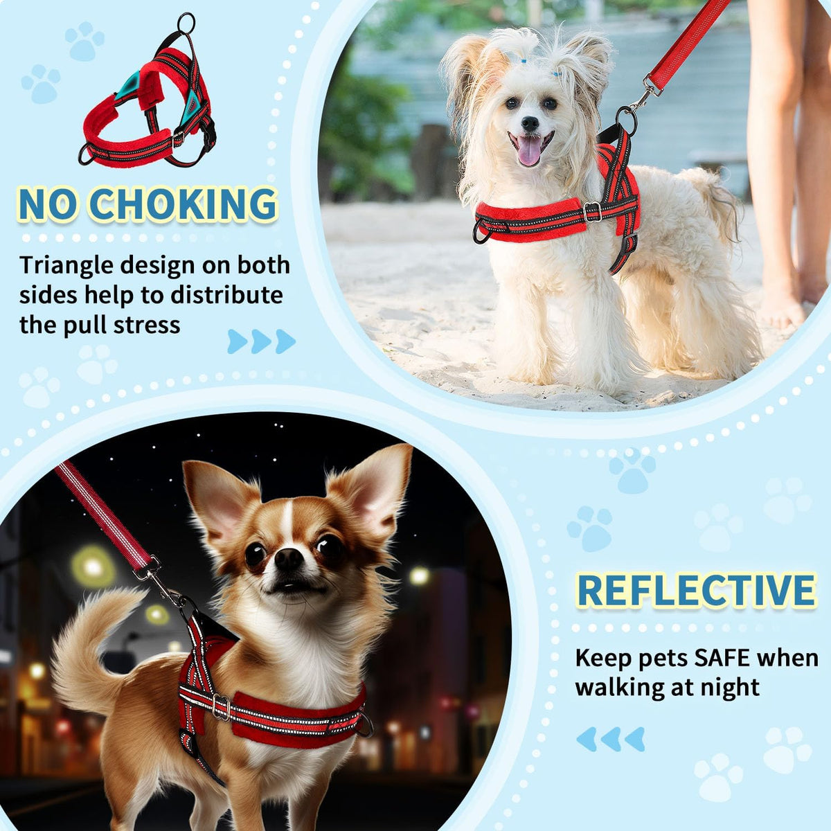 No Pull Small Dog Harness and Leash Set with Front Clip