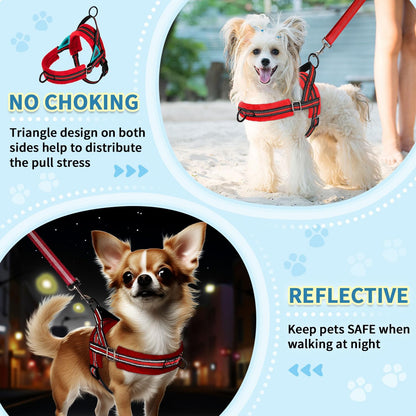 No Pull Small Dog Harness and Leash Set with Front Clip