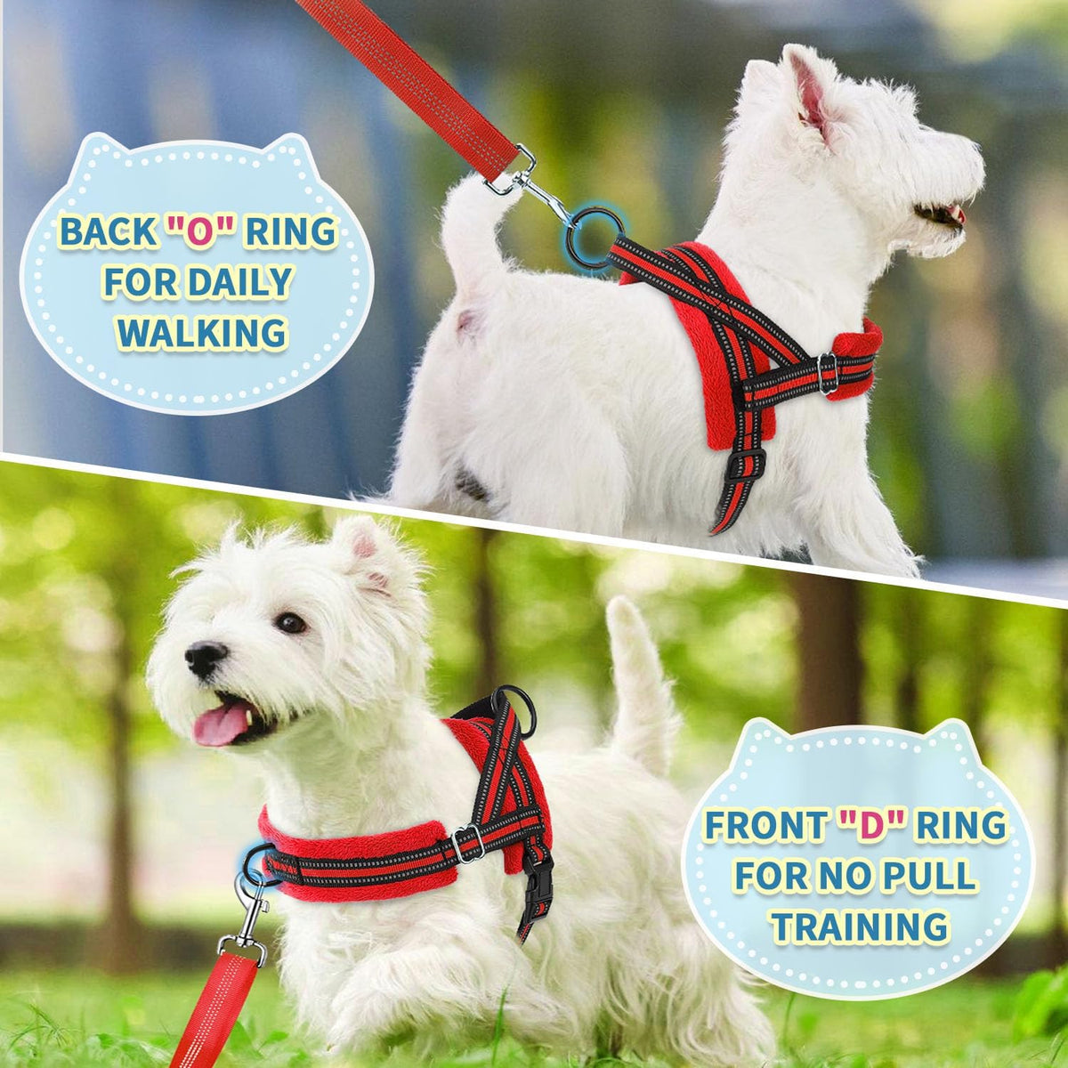 No Pull Small Dog Harness and Leash Set with Front Clip