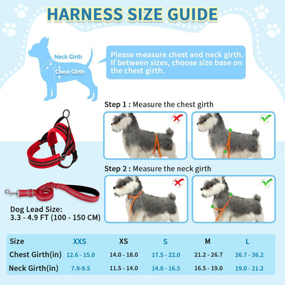 No Pull Small Dog Harness and Leash Set with Front Clip