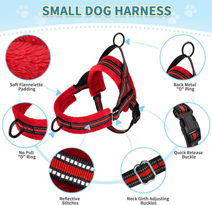No Pull Small Dog Harness and Leash Set with Front Clip