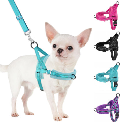 No Pull Small Dog Harness and Leash Set with Front Clip