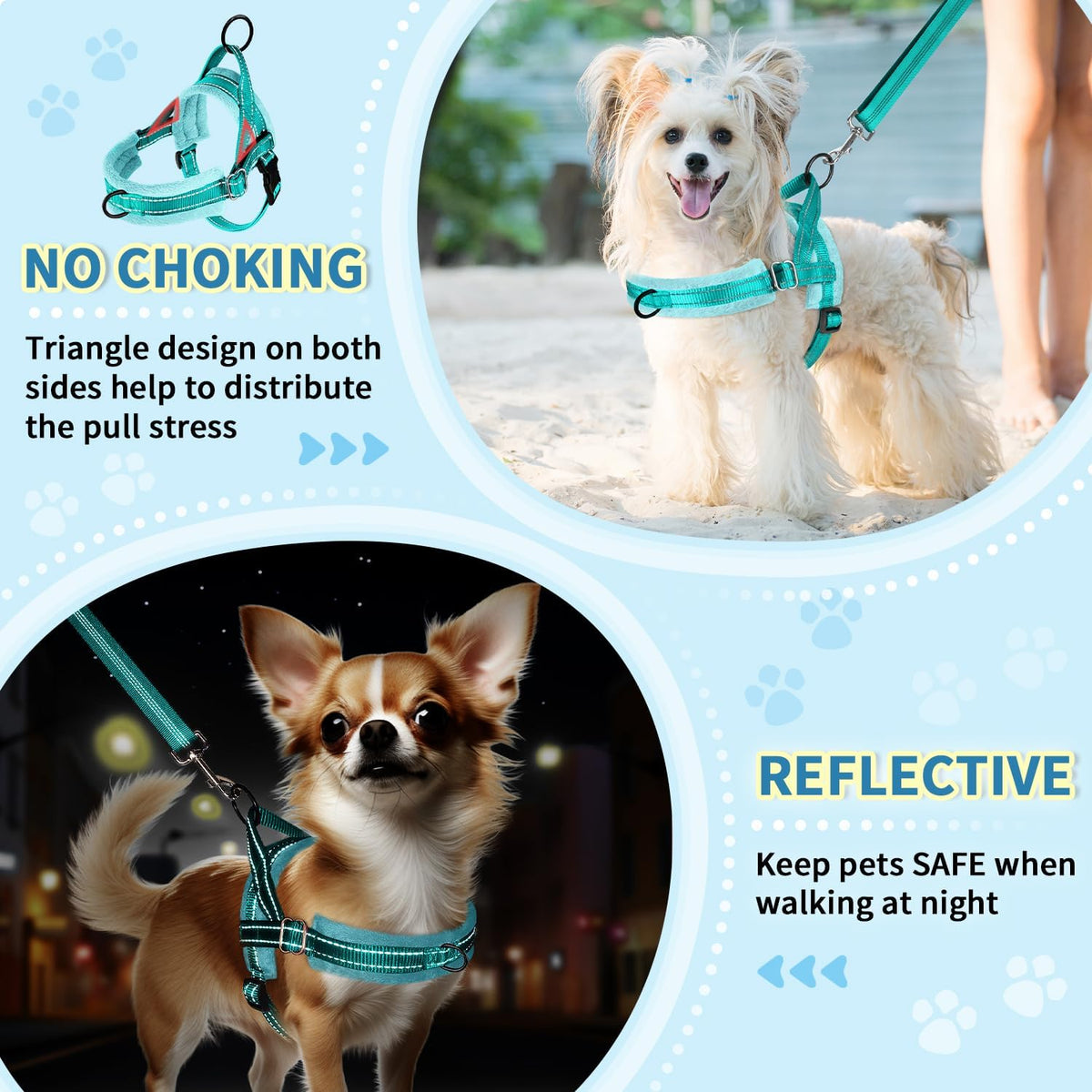 No Pull Small Dog Harness and Leash Set with Front Clip