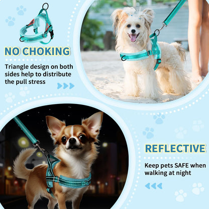 No Pull Small Dog Harness and Leash Set with Front Clip