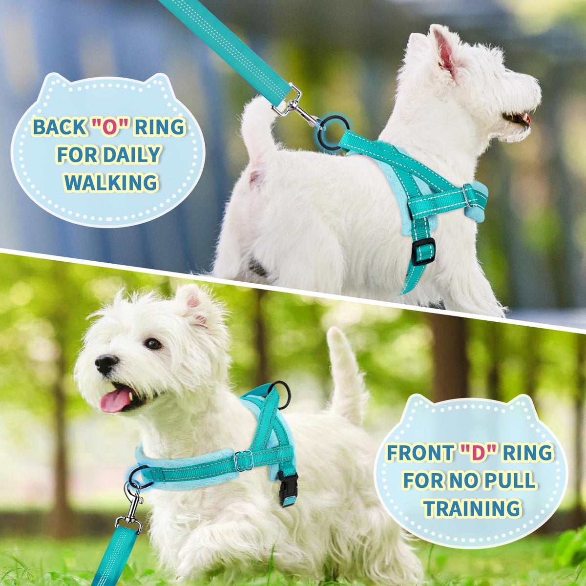 No Pull Small Dog Harness and Leash Set with Front Clip