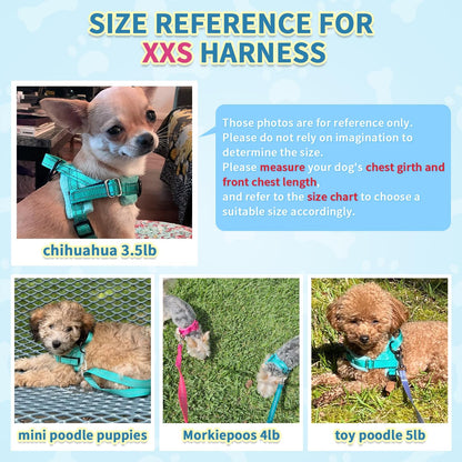 No Pull Small Dog Harness and Leash Set with Front Clip
