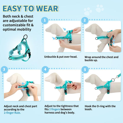 No Pull Small Dog Harness and Leash Set with Front Clip